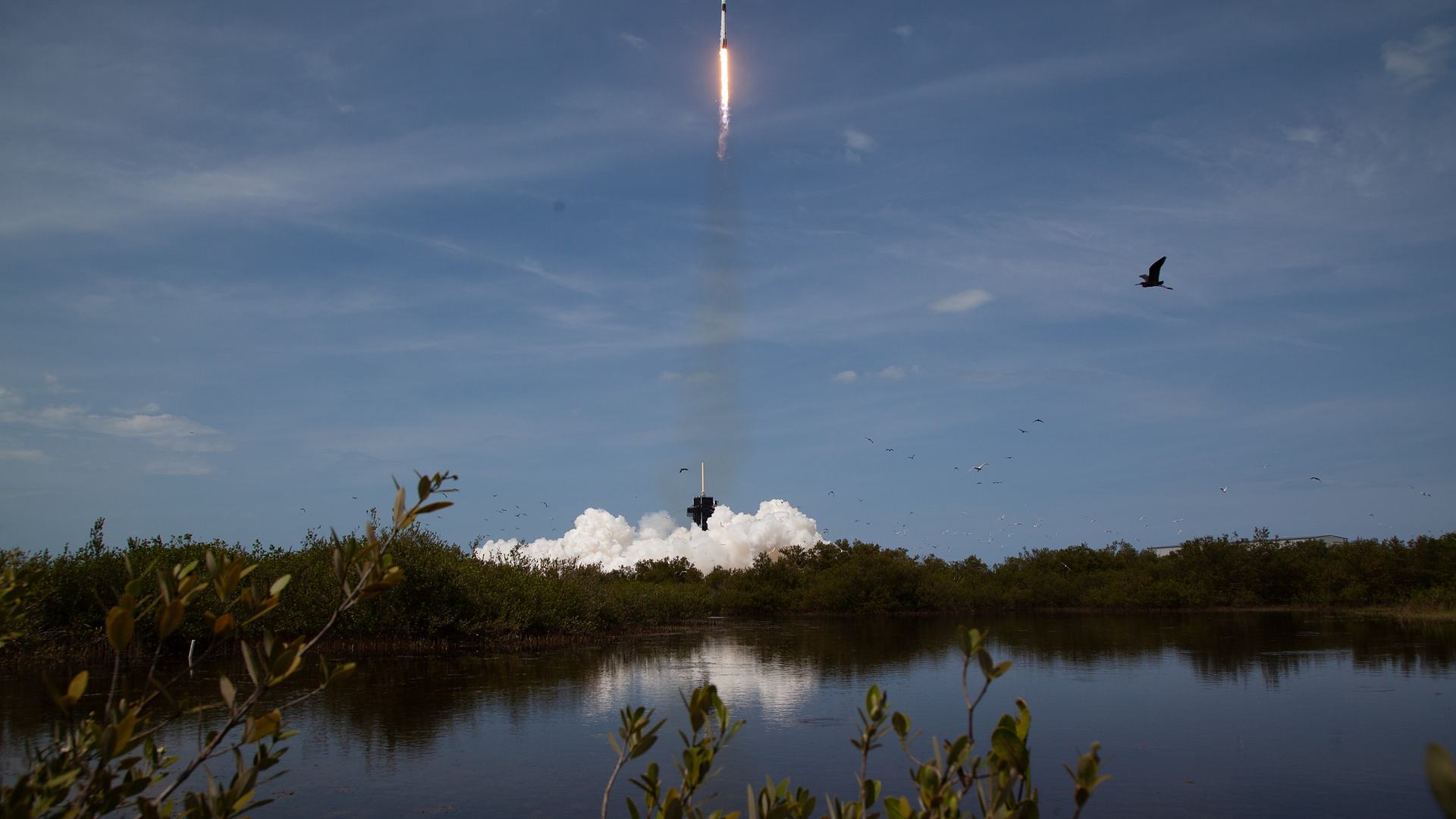 Crew Dragon Demo-2 launching NASA astronauts Hurley and Behnken from Kennedy Space Center, 30 May 2020